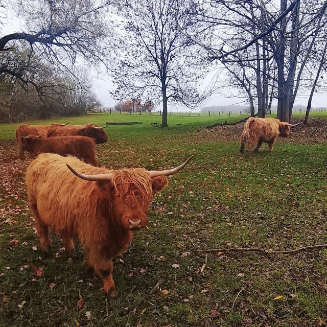 Pasture. Weather forecasts with beautiful photos by don_esteban Photos in World
