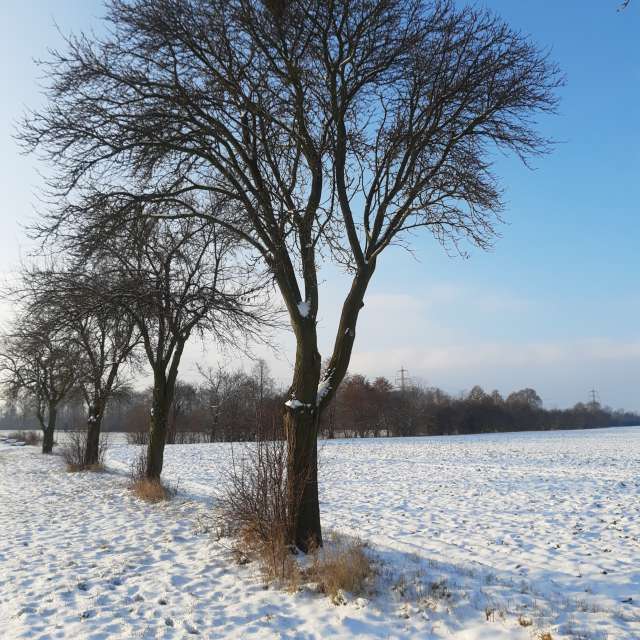 Fotos Clima. Previsões do tempo com lindas fotos de Piškot em Bohunovice