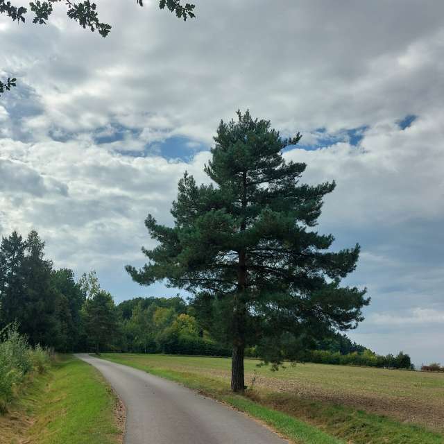 Previsões do tempo com lindas fotos de MaLou