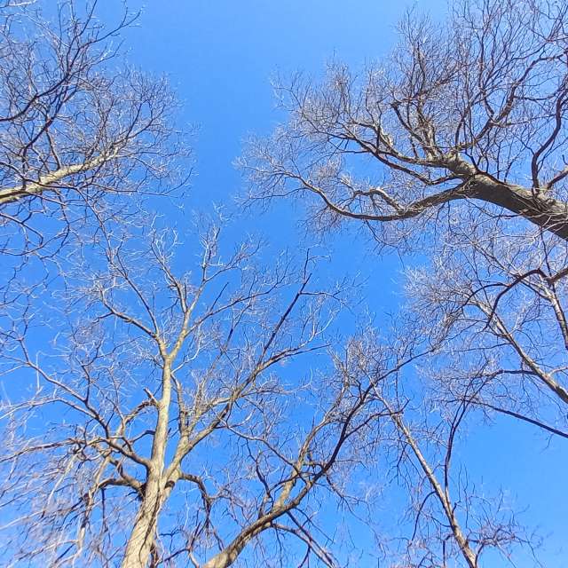 Weather forecasts with beautiful photos by sloanlance