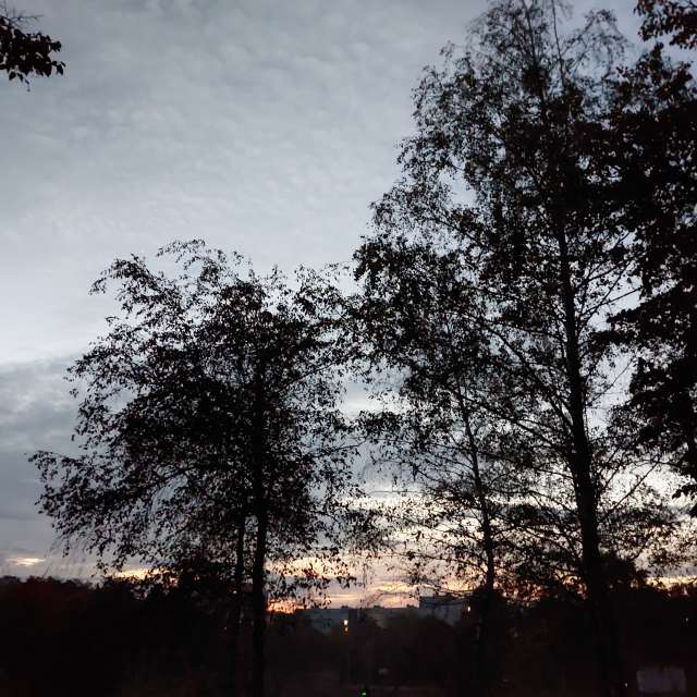 Gray. Weather forecasts with beautiful photos by Iryna Photos in Kharkiv