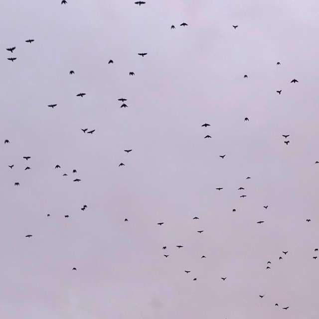 Photos Jour. Prévisions météo avec de superbes photos de Seni de Velbert