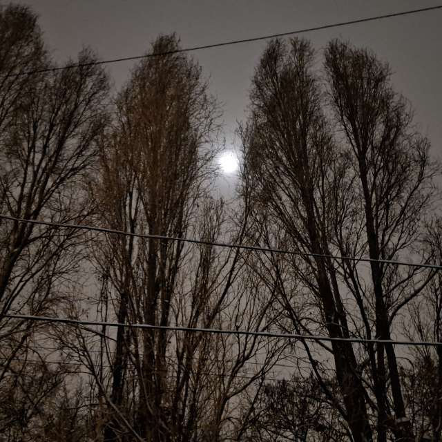 Wettervorhersagen mit schönen Fotos von Iryna