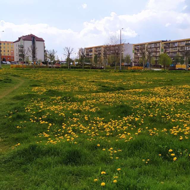 Fotos del Herboso. Pronósticos del tiempo con hermosas fotos de Romek58 en Wieluń