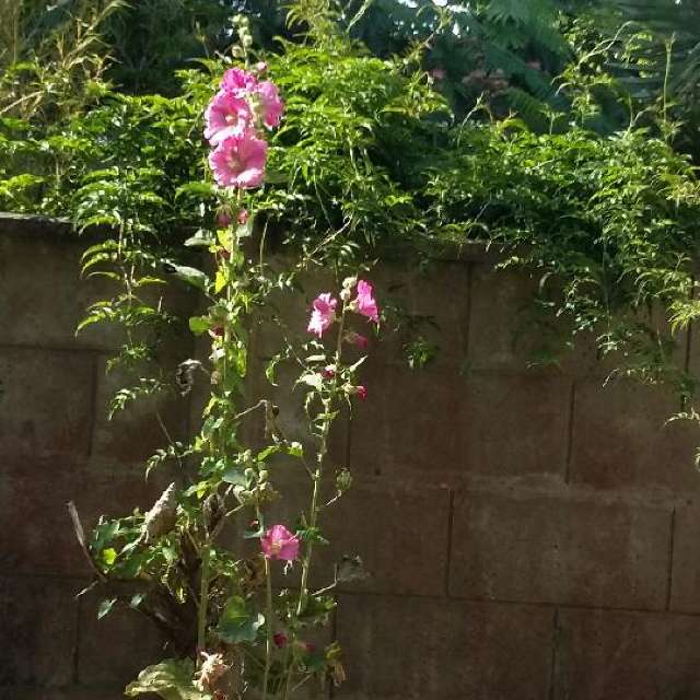 Прогнозы погоды с чудесными фотографиями, сделанными Ninette