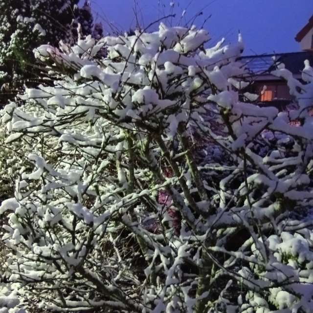 Pronósticos del tiempo con hermosas fotos de Kiki248