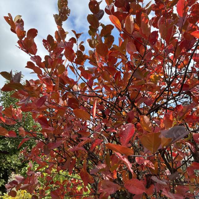 Прогнозы погоды с чудесными фотографиями, сделанными cigov