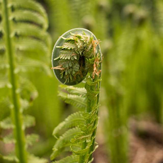 天气预报，带Axys精美的照片