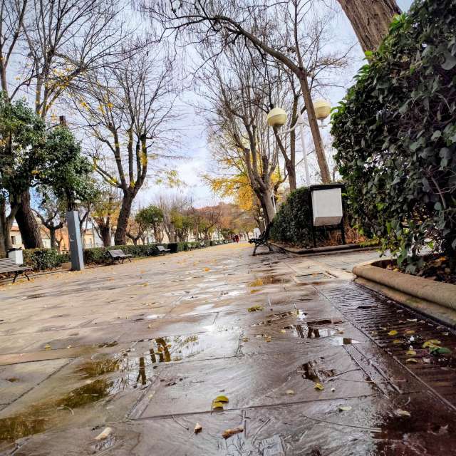 Wettervorhersagen mit schönen Fotos von M Paz Basanta Costea