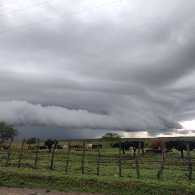 Фотографии Погоды в Рынок. Прогнозы погоды с чудесными фотографиями, сделанными ElisAmeson