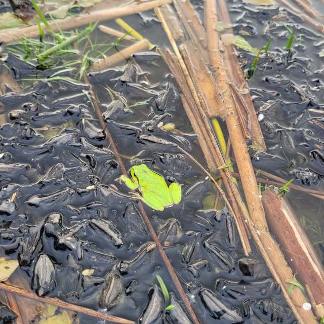 Pronósticos del tiempo con hermosas fotos de Tinch85