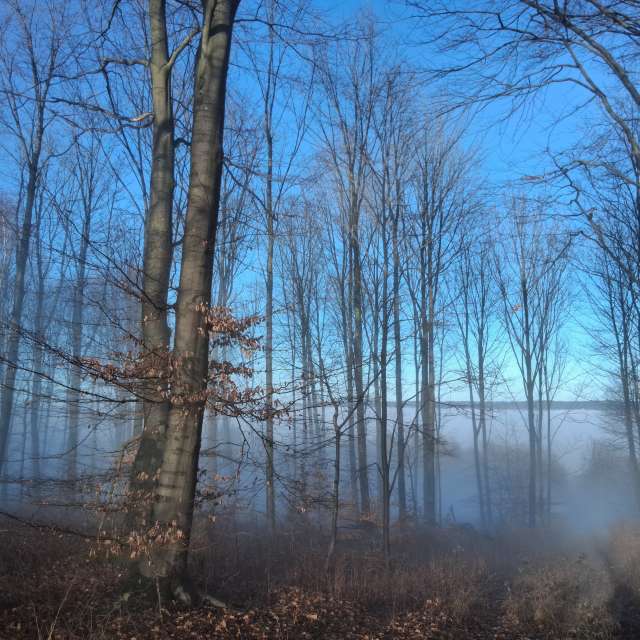 Germany. Weather forecasts with beautiful photos by Wanderstiefel Photos in World