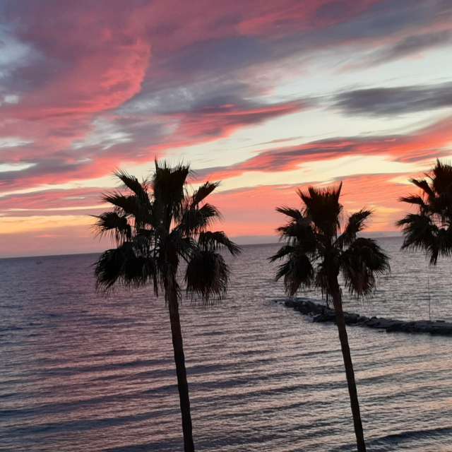 Body. Weather forecasts with beautiful photos by Lizbet Photos in Marbella