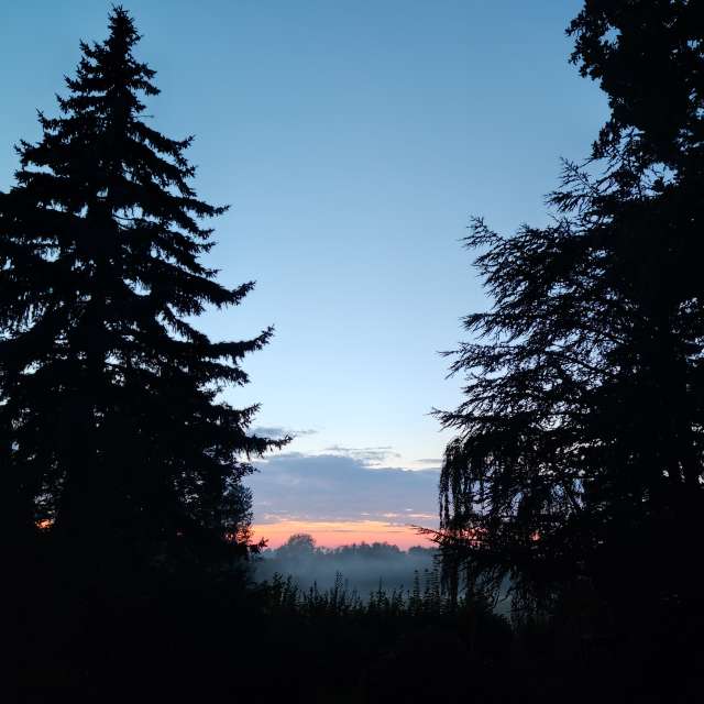 Previsões do tempo com lindas fotos de Zorrra