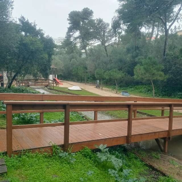 Prévisions météo avec de superbes photos de Joaquim Fonseca