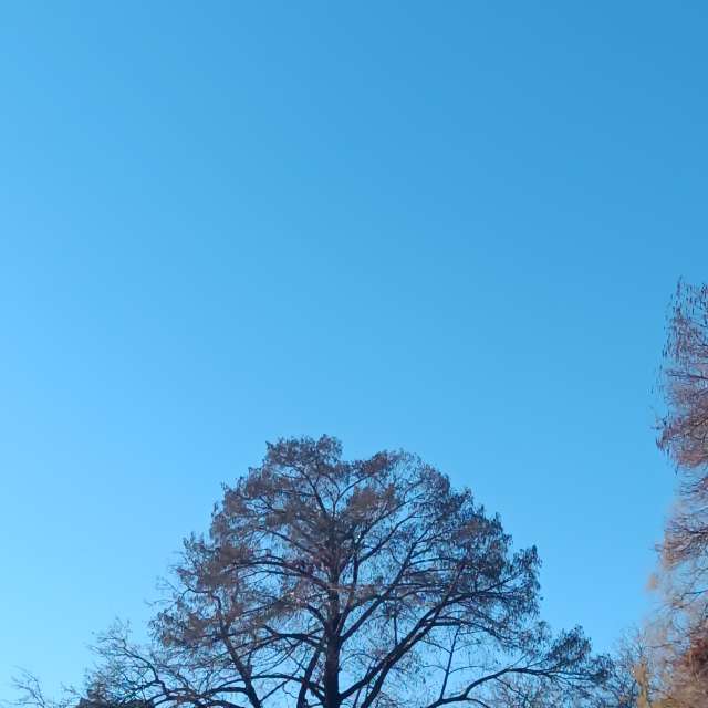 Fotos del Pista. Pronósticos del tiempo con hermosas fotos de YanBog en București