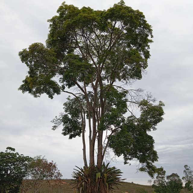 天气预报，带Safardy02精美的照片