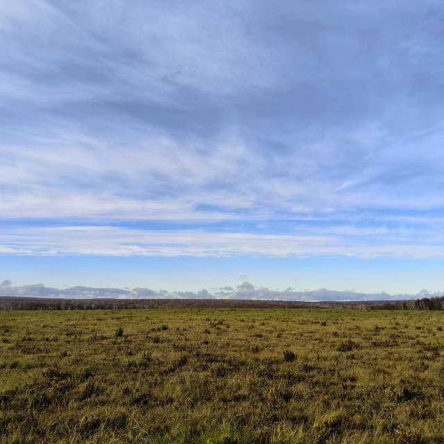 天气预报，带Aleksei精美的照片