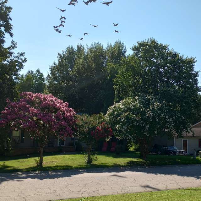 Photos Homme. Prévisions météo avec de superbes photos de jeannecozzarin de North Carolina