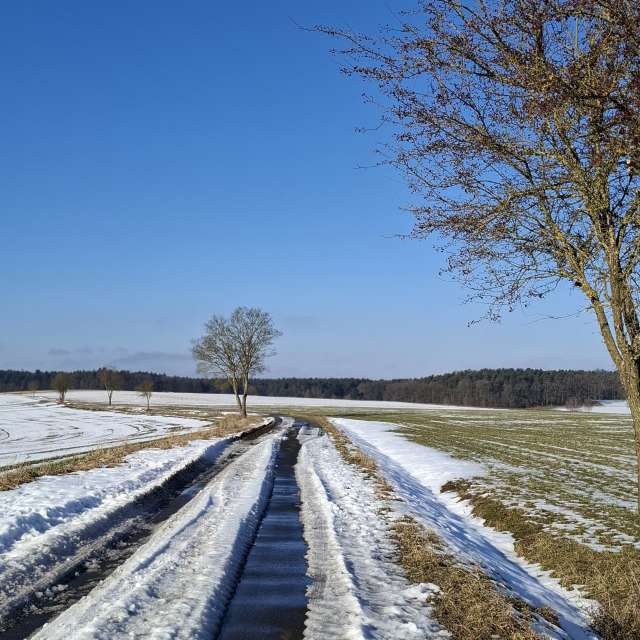 Dự báo thời tiết với những bức ảnh đẹp của Steffi316