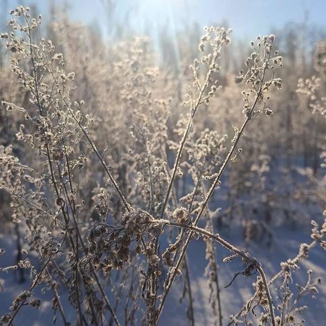 天气预报，带Michael_1969精美的照片
