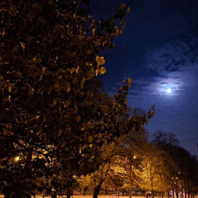 Weather Photos in World. Weather forecasts with beautiful photos by Iryna