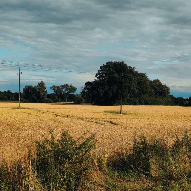Prévisions météo avec de superbes photos de AlaGibki