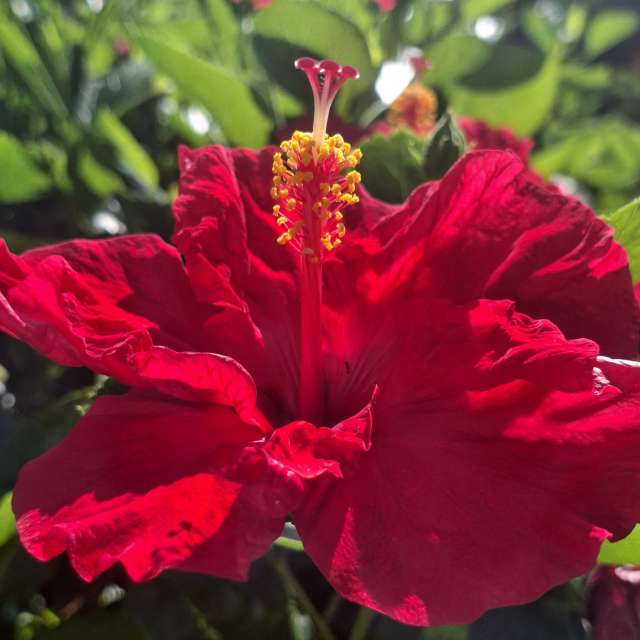 Fotos Vidro. Previsões do tempo com lindas fotos de Wen-ya Huang em Kaohsiung City