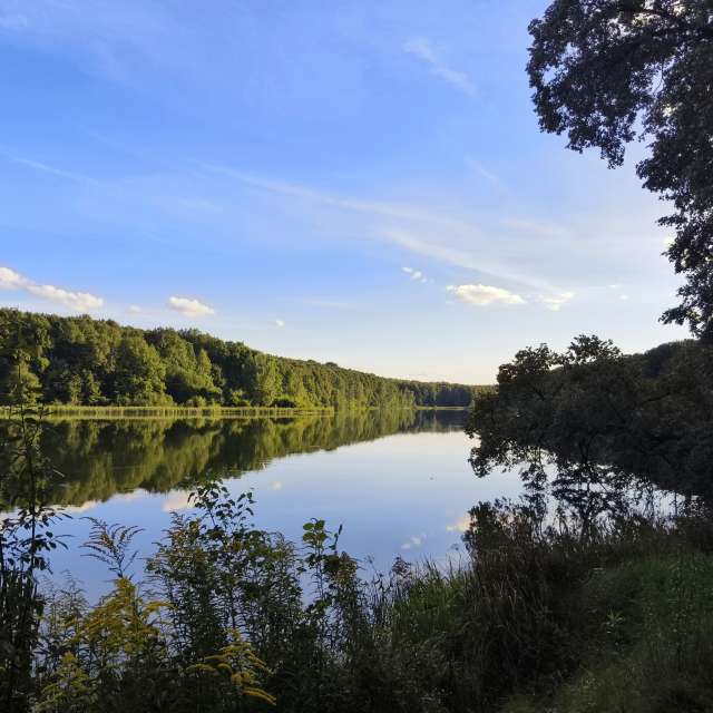 Surrounded. Weather forecasts with beautiful photos by Aleksei Photos in Tula