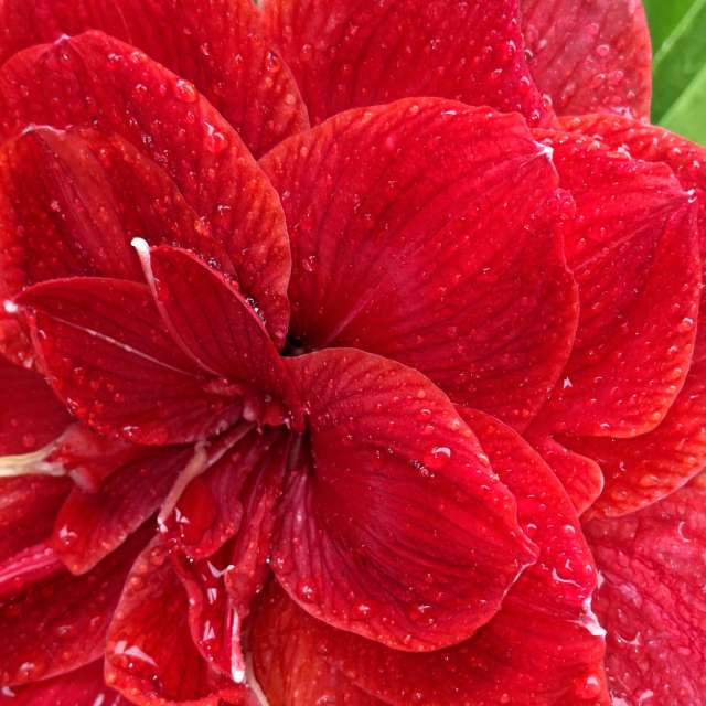 Cake. Weather forecasts with beautiful photos by Wen-ya Huang Photos in Kaohsiung City