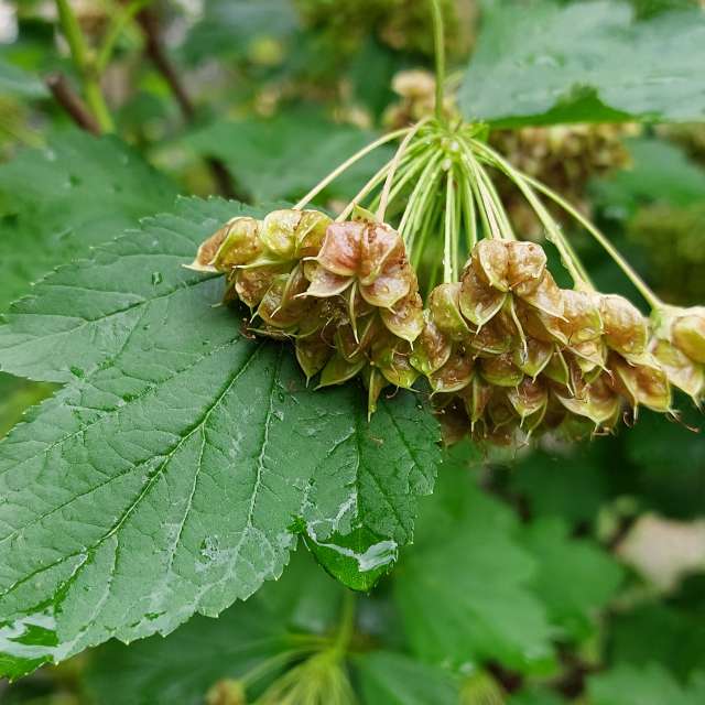 Rain. Weather forecasts with beautiful photos by Iryna Photos in Kharkiv