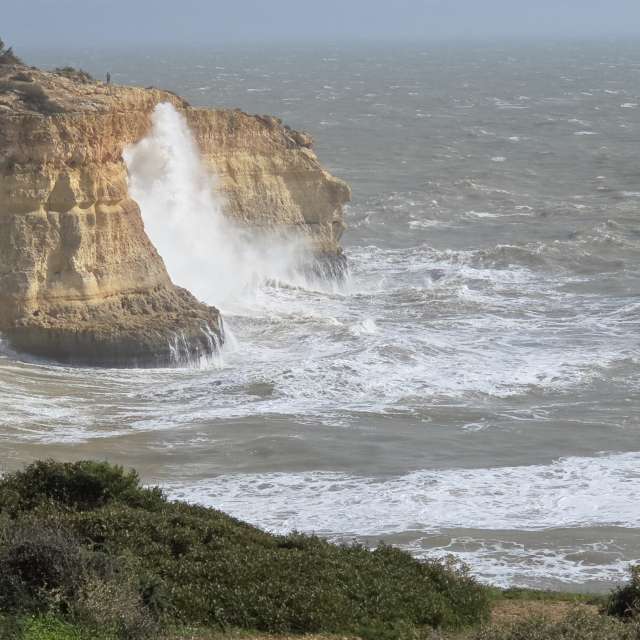 Weather forecasts with beautiful photos by Brtd