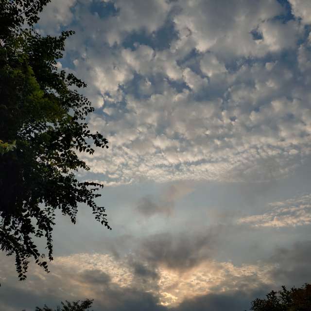 Fotos del Calle. Pronósticos del tiempo con hermosas fotos de kon__miyuki en Nada Ward