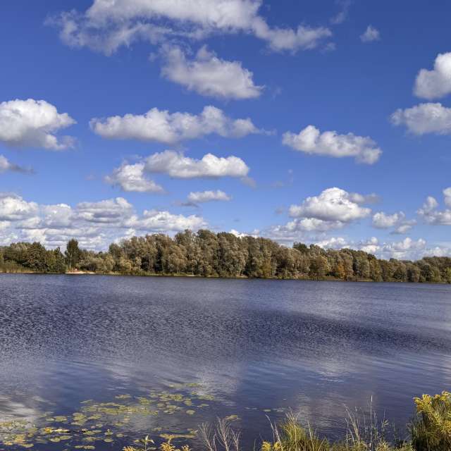 Weather forecasts with beautiful photos by Svet-Lana