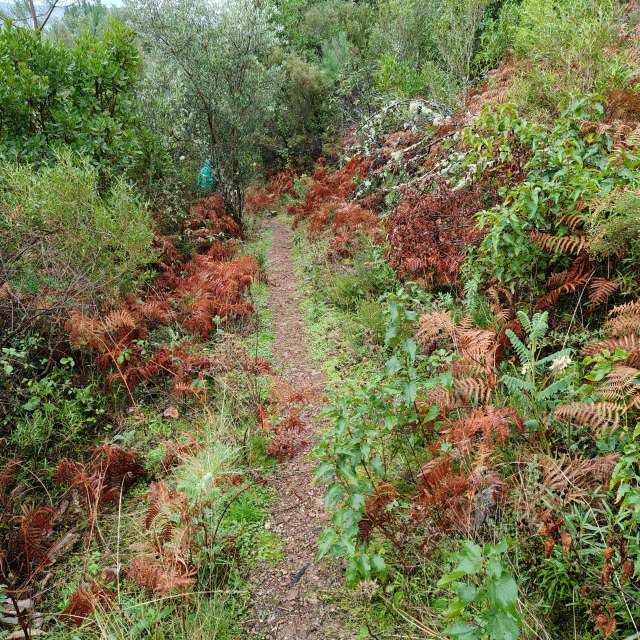 Weather forecasts with beautiful photos by Pcm407