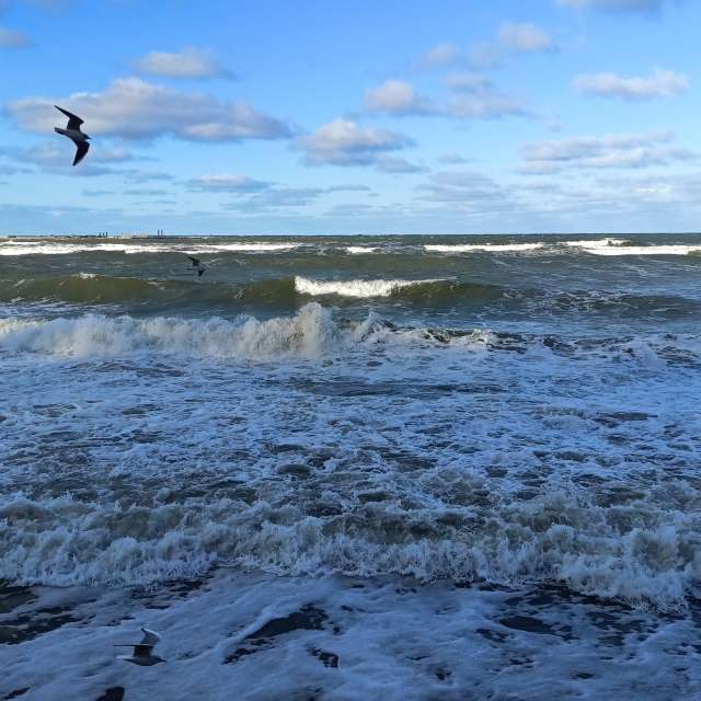Fotos Corpo. Previsões do tempo com lindas fotos de Михаил Бондаренко em Pionerskiy