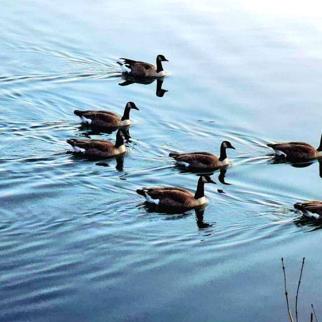 Прогнозы погоды с чудесными фотографиями, сделанными schimi