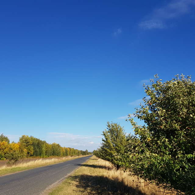 天气预报，带andreyfetisov精美的照片