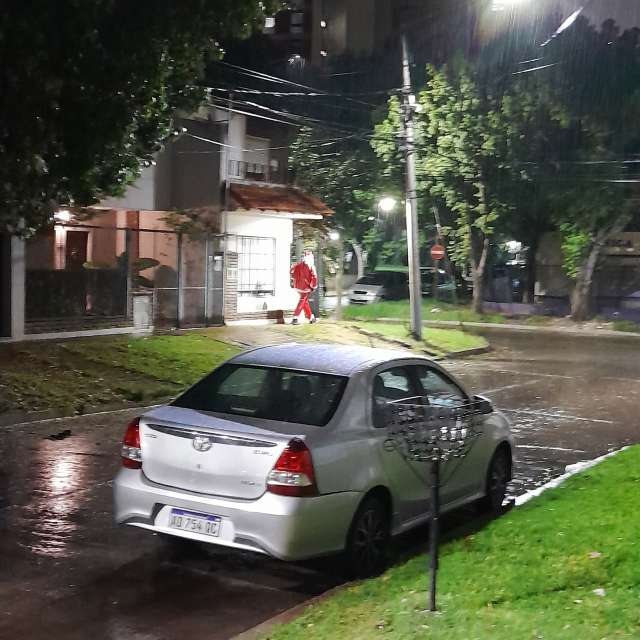 Grass. Weather forecasts with beautiful photos by SEBASTIAN14 Photos in Olivos