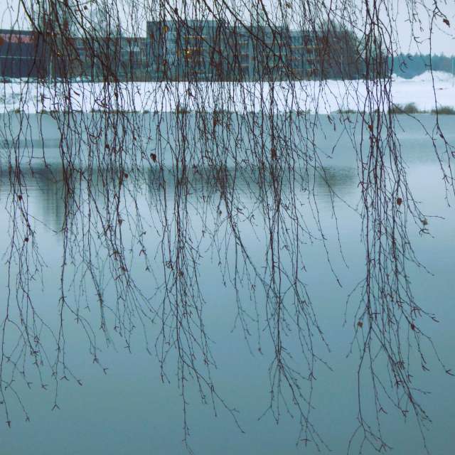 Pond. Weather forecasts with beautiful photos by AlmaGenute53 Photos in Lithuania