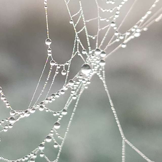 Фотографии Погоды в Мир. Прогнозы погоды с чудесными фотографиями, сделанными Brtd