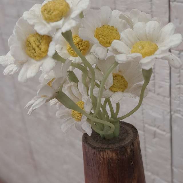 Pronósticos del tiempo con hermosas fotos de maziyar52