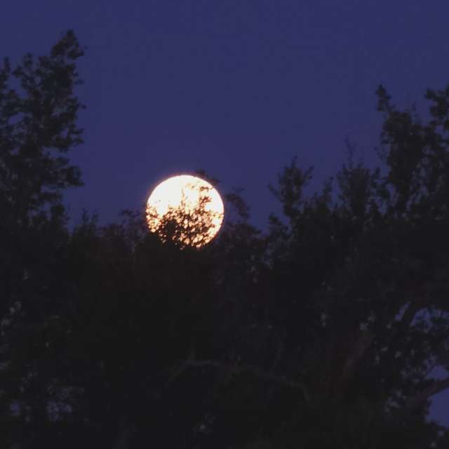 Previsões do tempo com lindas fotos de Mklady75