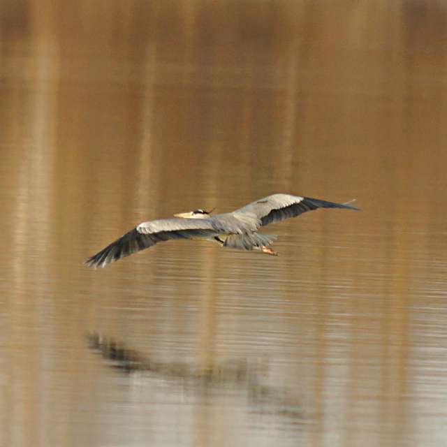 Weather Photos in World. Weather forecasts with beautiful photos by tony5636