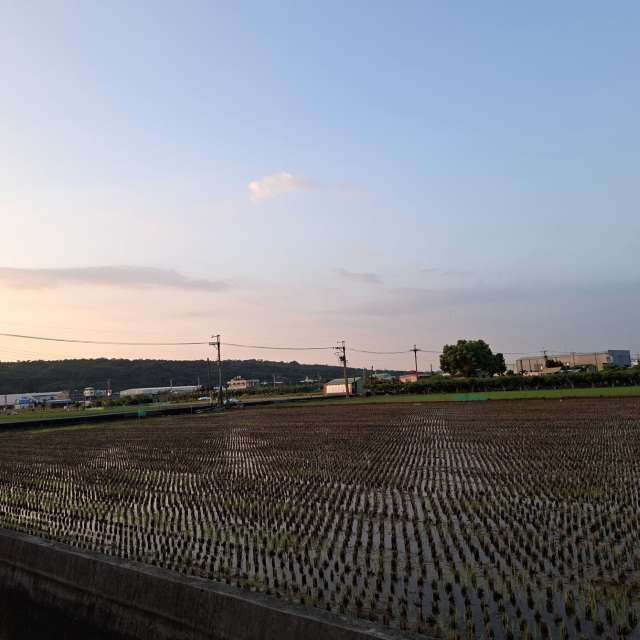 Sun. Weather forecasts with beautiful photos by Wen-ya Huang Photos in Kaohsiung City