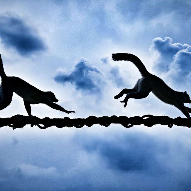 Wettervorhersagen mit schönen Fotos von Pericles