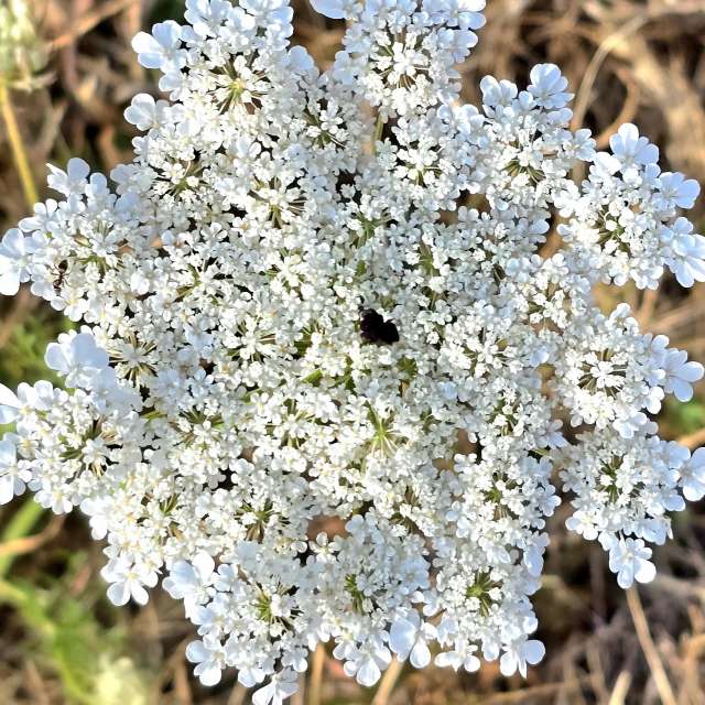 Kuchen. Wettervorhersagen mit schönen Fotos von Hela Fotos Bayern