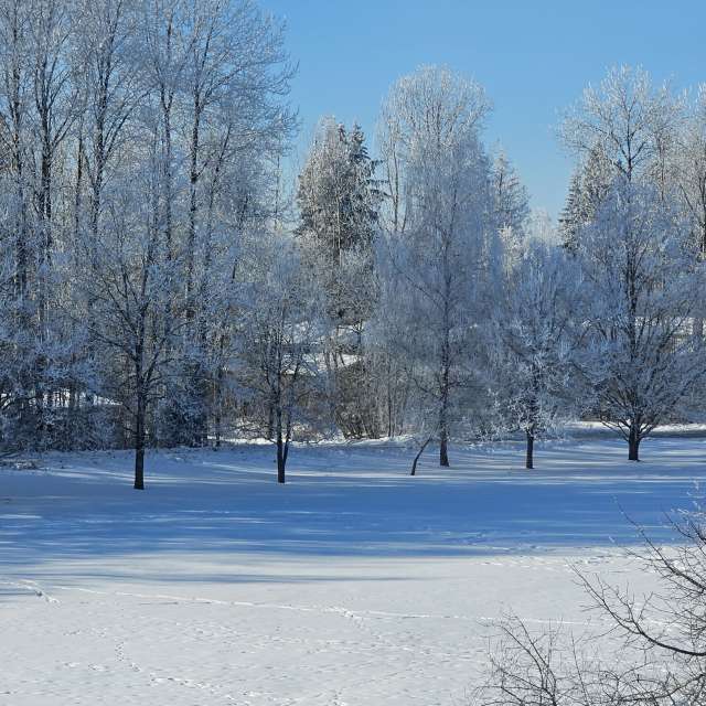 Pronósticos del tiempo con hermosas fotos de Sandra Bokisha