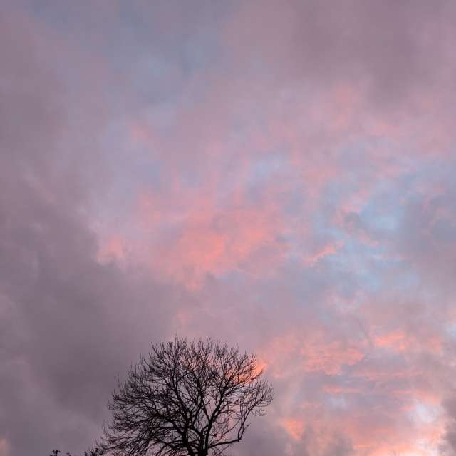 Man. Weather forecasts with beautiful photos by Sunshinelady62 Photos in World