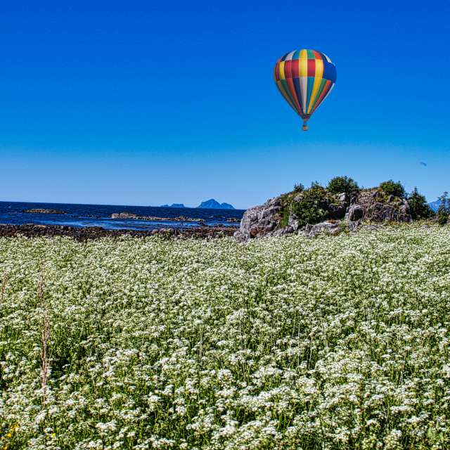Weather forecasts with beautiful photos by Rozhman Piran